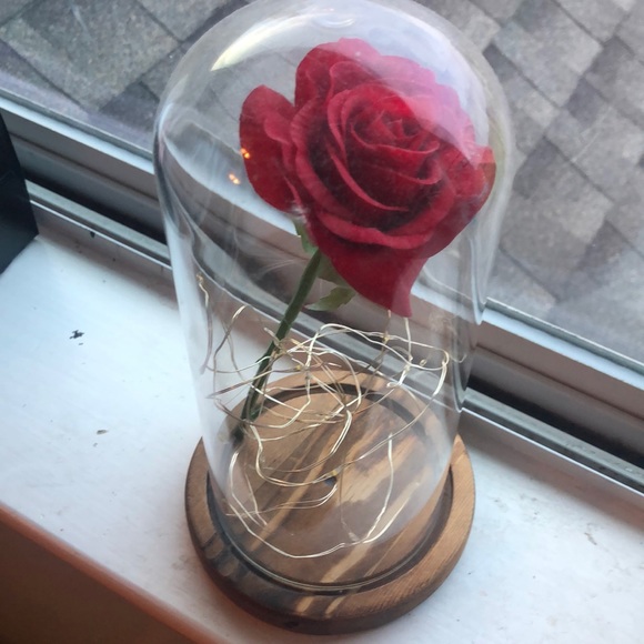 Rose in light up jar decoration